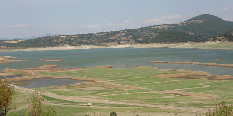 Bayramiç Barajı'nı besleyen dereler kurudu