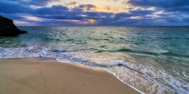 Birleşmiş Milletler: Sualtı biyolojik çeşitliliği tehlike altında
