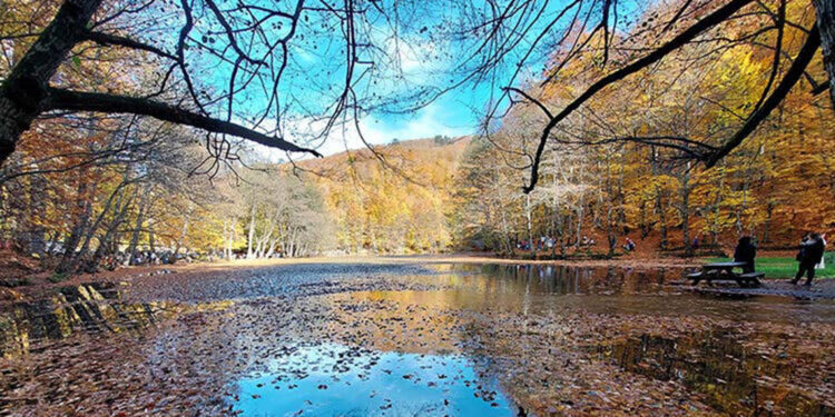 Bolu'nun doğal güzelliklerine yaz sezonunda ziyaretçi akını