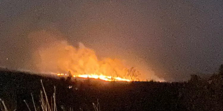 Bulgaristan'ın türkiye sınırında orman yangını