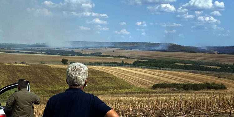 Bulgaristan'ın türkiye sınırındaki orman yangını, kontrol altında