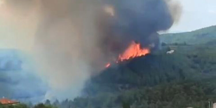 Bursa'da orman yangını çıktı