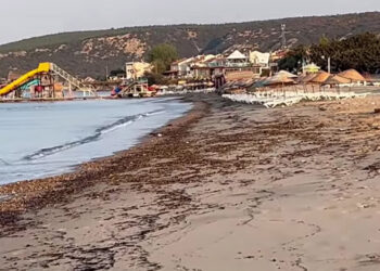 Çanakkale yangınının izleri, Edirne kıyılarında