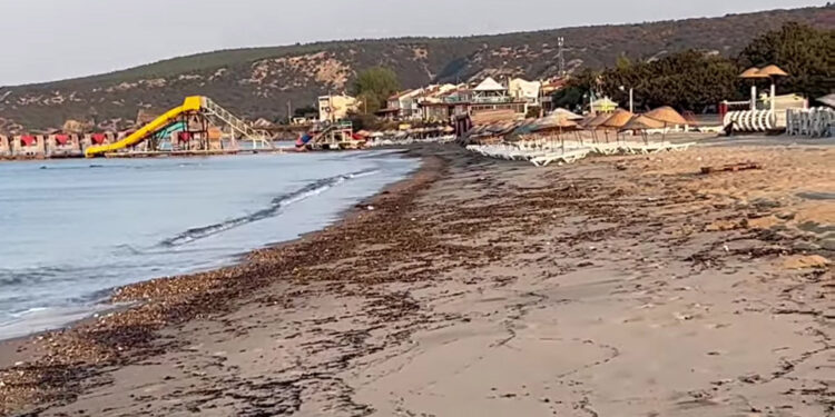 Çanakkale yangınının izleri, Edirne kıyılarında