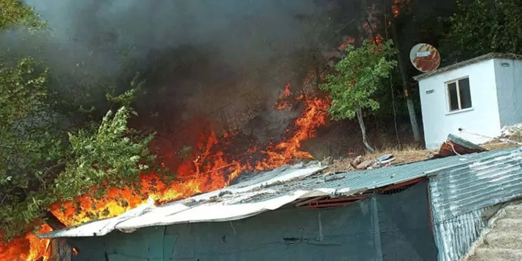 Çanakkale'nin ayvacık ilçesinde orman yangını