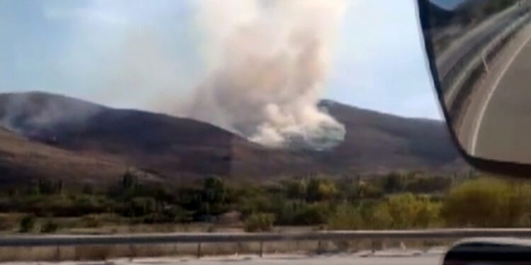 Çankırı'da ağaçlık alanda yangın