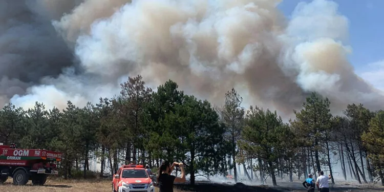 Çerkezköy'de orman yangını