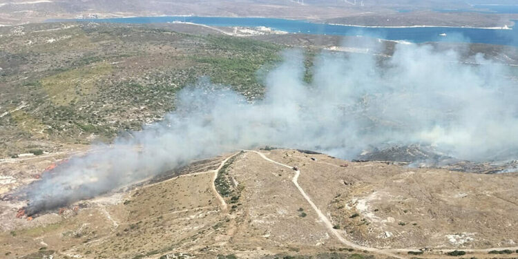 Çeşme'de çöplükte çıkan yangın ormana sıçradı