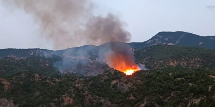 Çorum'daki orman yangını, 5 saatte söndürüldü