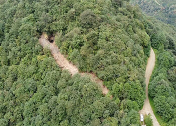Define için ormana iş makinesiyle yol açtılar