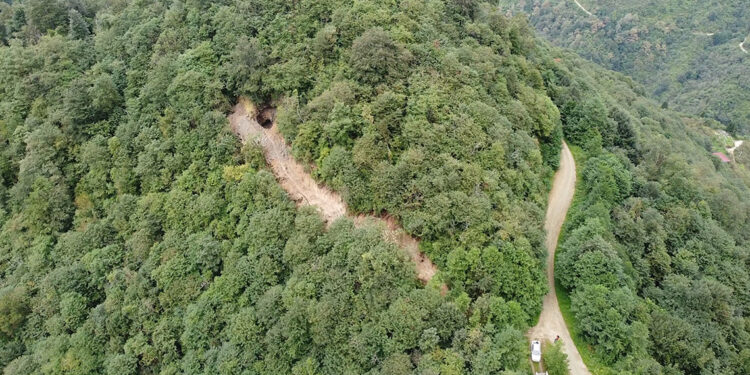 Define için ormana iş makinesiyle yol açtılar