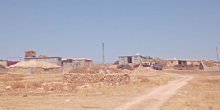 Diyarbakır'da 'Yapı kayıt belgelesi' mağdurları konuştu