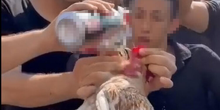 Düğünde horoza içki içiren 5 kişiye para cezası