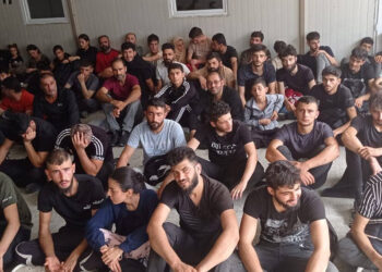 Edirne'de 89 kaçak göçmen yakalandı