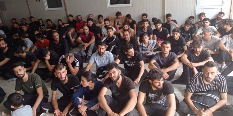 Edirne'de 89 kaçak göçmen yakalandı