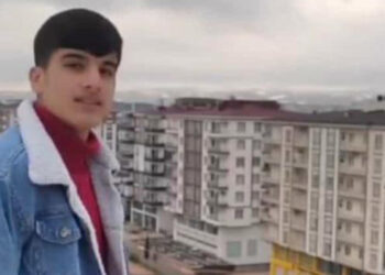 El freni çekilmeyen traktörün altında kalan Efe, öldü