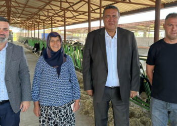 Üreticinin 11 liraya sattığı süt markette 40 lira