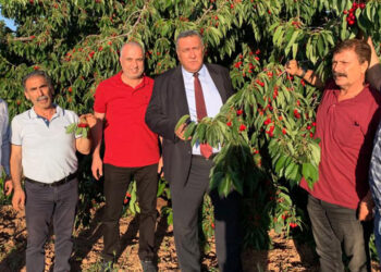 Türkiye'de tarımın geldiği son nokta