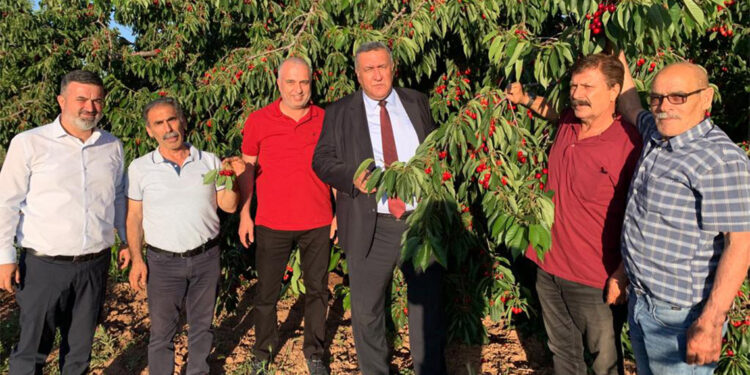 Türkiye'de tarımın geldiği son nokta