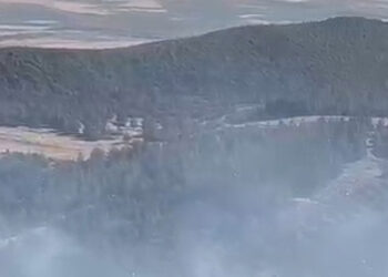 Gaziantep'in Nurdağı ilçesinde orman yangını