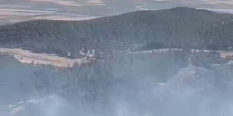 Gaziantep'in Nurdağı ilçesinde orman yangını