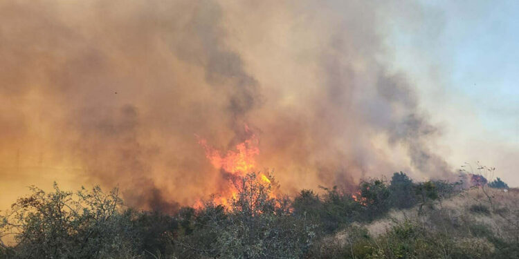 Gelibolu'daki yangın, 16 saatte kontrol altına alındı