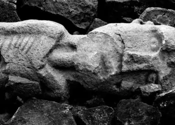 Göbeklitepe'de insan ve hayvan heykelleri bulundu