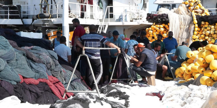 Haldeki hamside fiyat gerginliği sürüyor