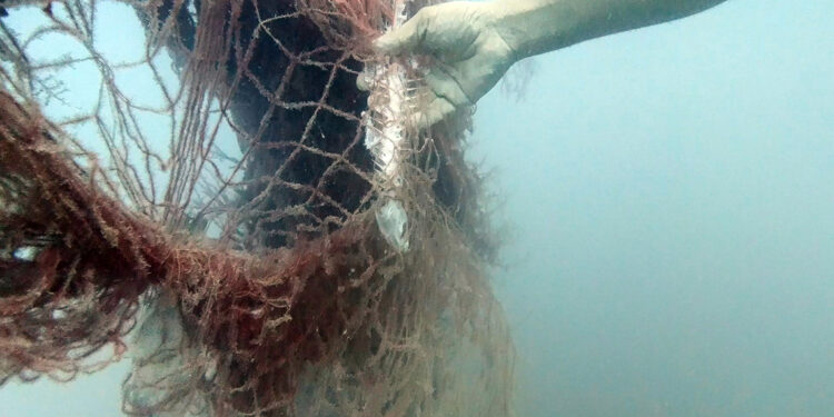 'Hayalet Ağ Avcıları' projesinde sona yaklaşıldı