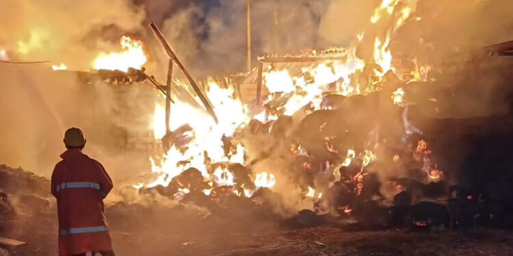 Iğdır'da 2 ahır ile 8 bin balya ot alev alev yandı