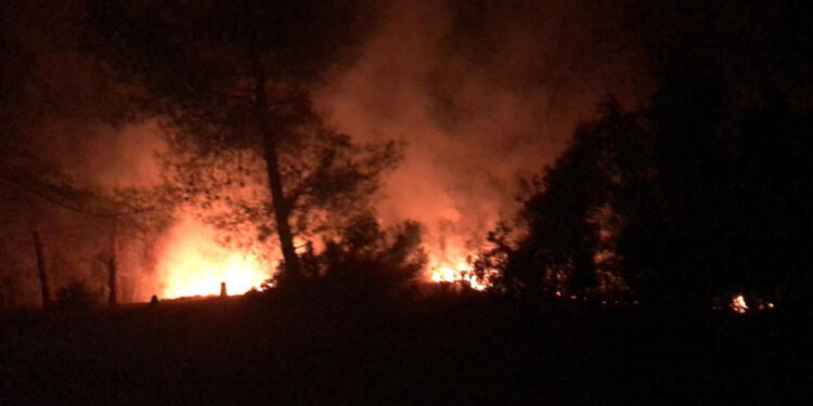 İmamoğlu'nda çıkan orman yangını söndürüldü