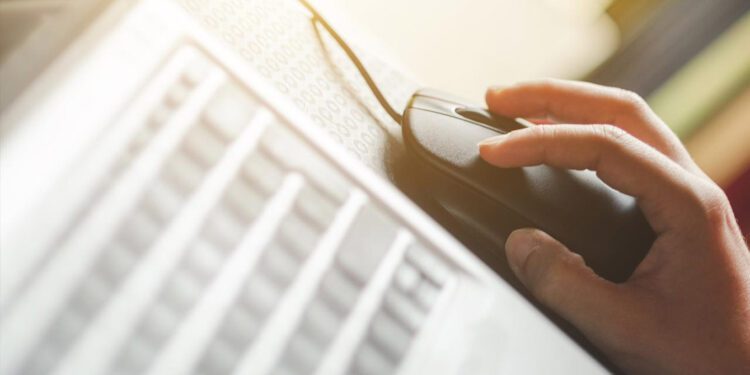 İnternet erişimine sahip girişimlerin oranı yüzde 96