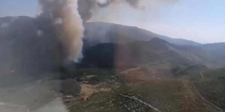 İzmir Menderes'te orman yangını