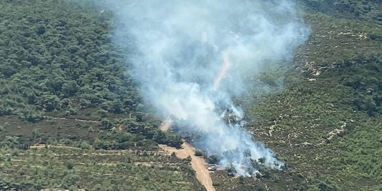İzmir'in Foça ilçesinde ormanda yangın