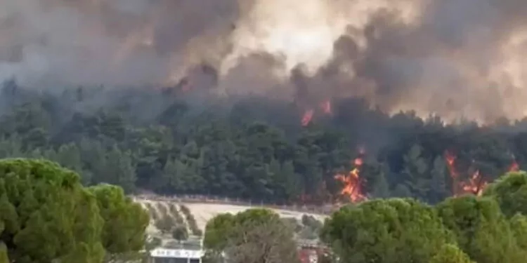İzmir'in gaziemir ilçesinde orman yangını