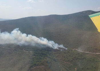 İzmir'in Selçuk ilçesinde orman yangını