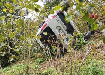 Kamyonet fındık bahçesine devrildi: 1 ölü, 1 yaralı