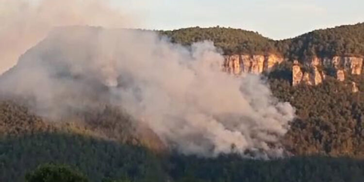 Karabük'te orman yangını