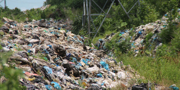 Karadeniz yaylalarında 'atık kirliliği'nde ürküten artış