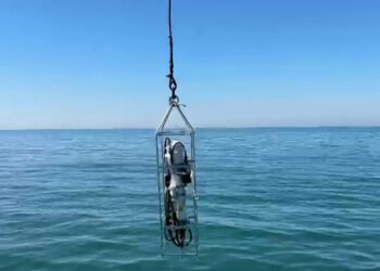 Karadeniz'de deniz suyu sıcaklığında 4 derece artış