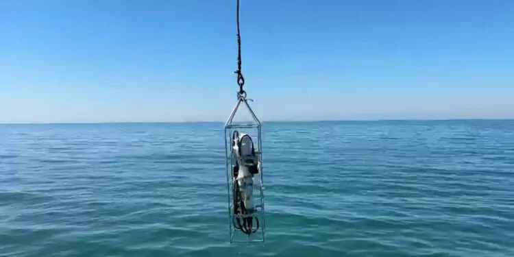 Karadeniz'de deniz suyu sıcaklığında 4 derece artış