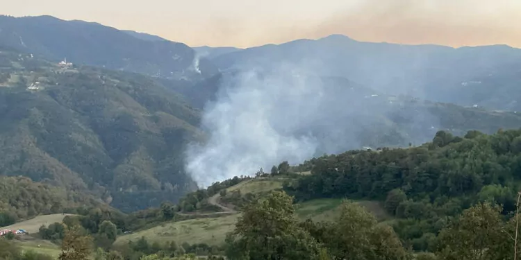 Kocaeli'deki orman yangını 3 saatte kontrol altına alındı