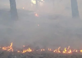 Konya'nın hadim ilçesinde orman yangını