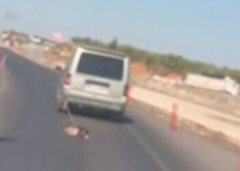 Köpeği araca bağlayıp sürükleyen sürücü kamerada