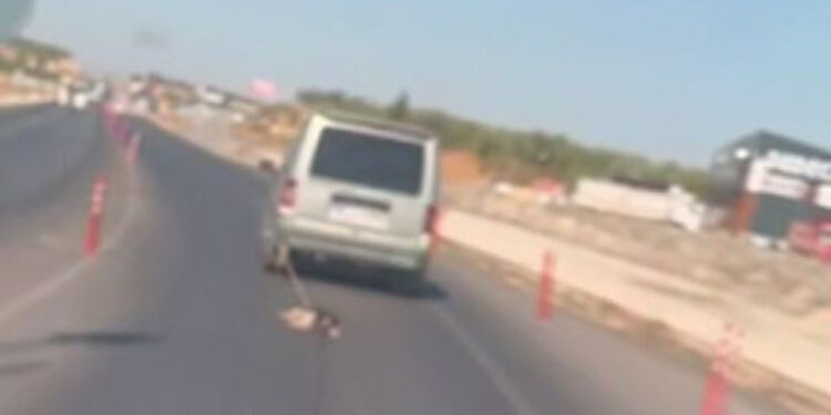 Köpeği araca bağlayıp sürükleyen sürücü kamerada