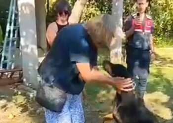 Korhan Berzeg'in köpeği Tina, Angela Berzeg ile buluştu