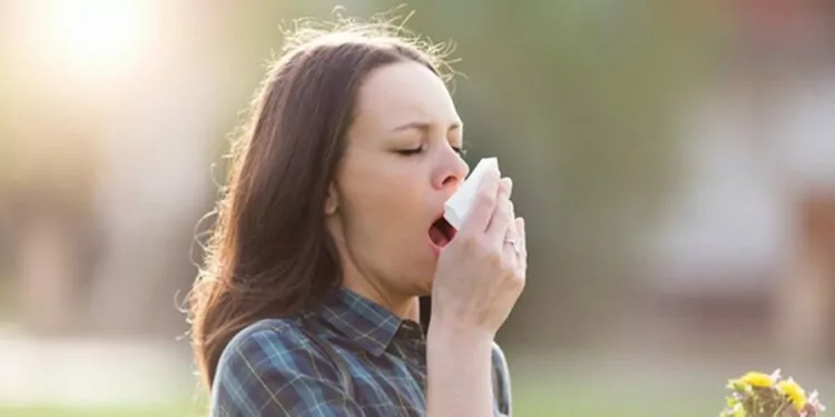 Küresel ısınma mevsimsel alerjileri artırıyor