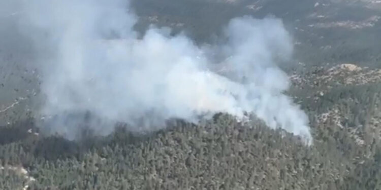 Kütahya'da ormanda yangın