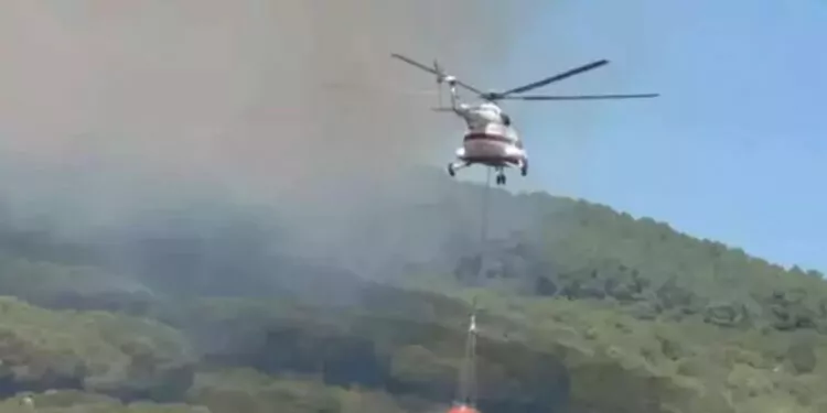 Maltepe'deki orman yangını ile ilgili 2 şüpheliye gözaltı
