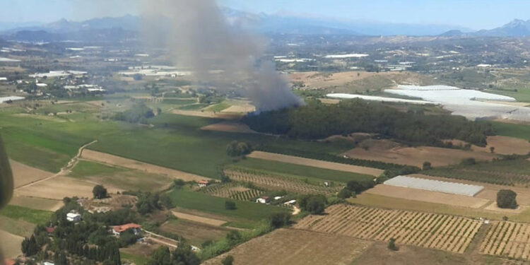 Manavgat'ta ormanda yangın